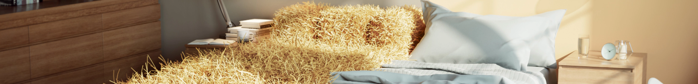 Banner for Take Control Banner for Take Control